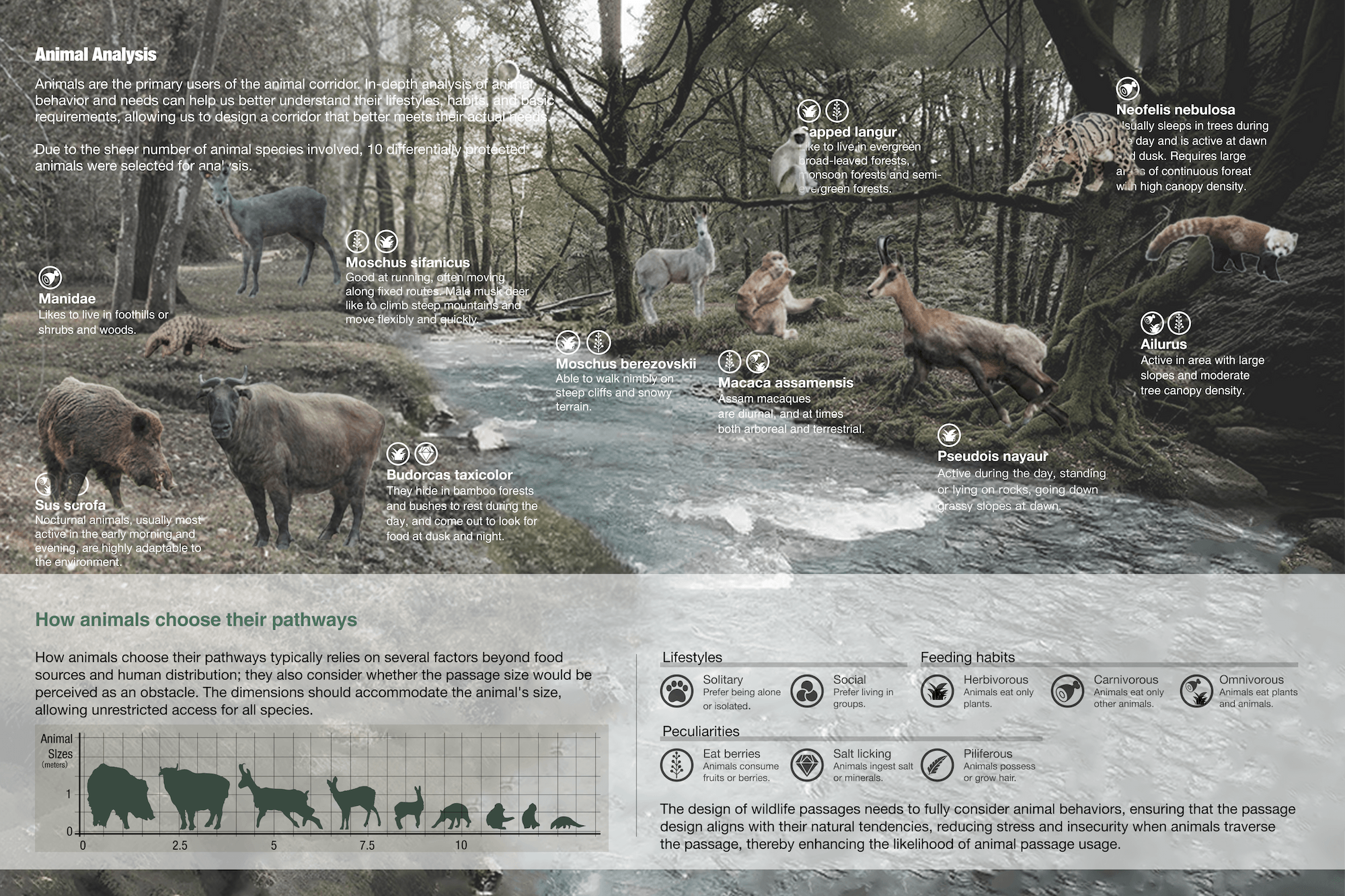 WILDLink 2