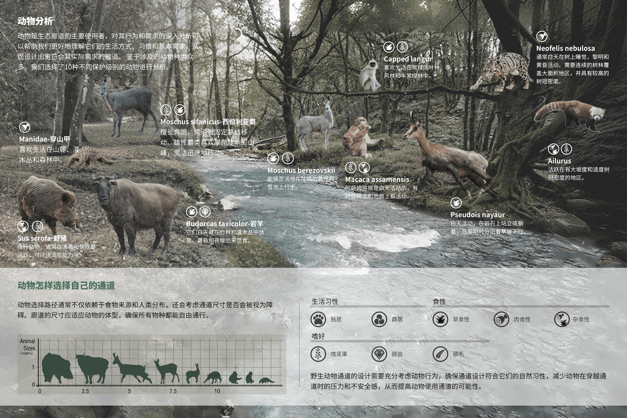 WILDLink 2